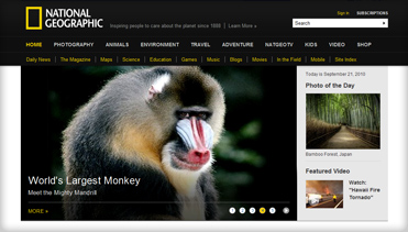 手机版ddos攻击器